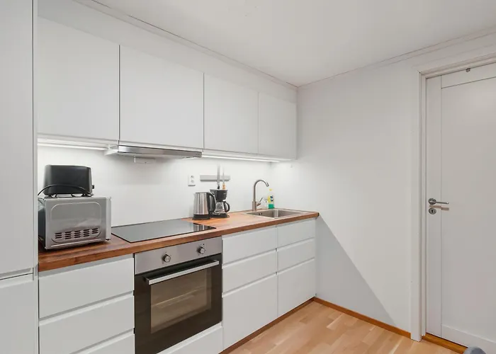 Cozy Aurora View - Entire 3-bedroom Fully Furnished Near Centre Apartmán Tromsø